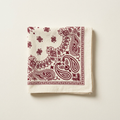 Paisley Bandana in Burgundy